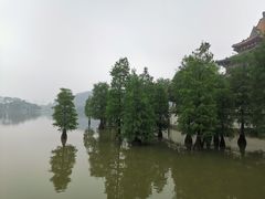 -顺峰山公园