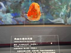 -北京大葆台遗址博物馆