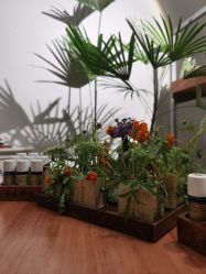 -芳香乐府疗愈空间·SPA·冥想