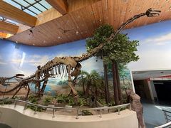 -延庆地质公园博物馆