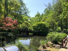 -柳莺湖上·湖景餐厅·江南菜(西湖店)