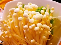 鲜金针菇-北门涮肉·炭火铜锅涮肉(什刹海店)