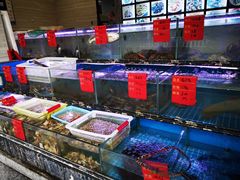 水产区-金海湾海鲜排档(朱家尖店)