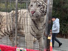 -西安秦岭野生动物园