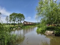 -长田漾湿地公园