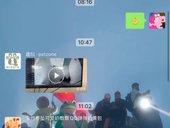 -趣玩宠物乐园寄养训犬训狗游泳池