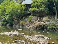 -楠溪江风景名胜区