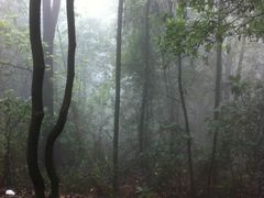 -火炉山森林公园