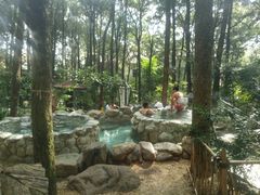 -金方森林温泉