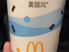 -麦当劳(正定瑞天店)