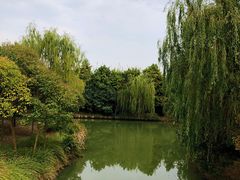 -同里国家湿地公园