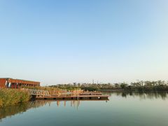 -芒洲湿地公园
