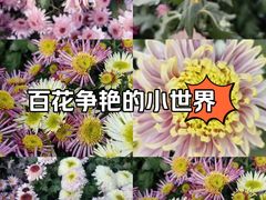 -黄浦路(地铁站)