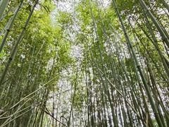 -井空里大峡谷