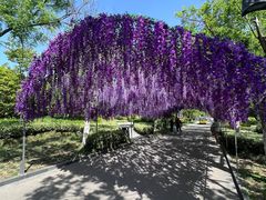 -徐州汉文化景区