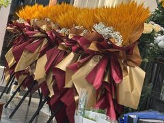 -淘花源花艺鲜花店 开业花篮 绿植(南部商务区店)