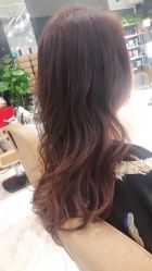 -时尚殿堂hair salon