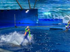 -多彩贵州城极地海洋世界