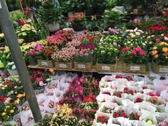 -秦美花卉(天朗·莱茵小城2期店)