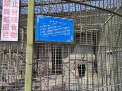 -青岛动物园