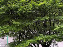 -浙江大学(玉泉校区)