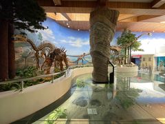 -延庆地质公园博物馆