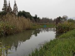 -长田漾湿地公园