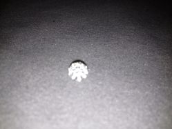 IMG_0595[1]-威德钻石-克拉钻大本营(南京东路店)