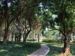 -南宁南湖公园