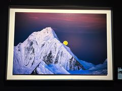 -罗红摄影艺术馆