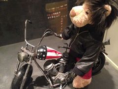 -济州岛泰迪熊博物馆