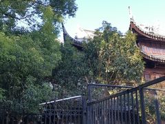 -上海白云观