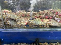 -张树军海鲜(王府壹号店)