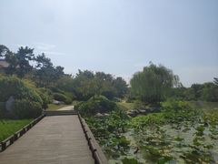 -SPA·印象足道养生(大运河度假区四望亭店)