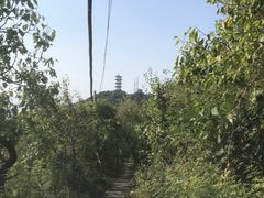 -北京十三陵国家森林公园蟒山景区
