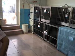 -北京观赏动物医院·24小时大型综合·猫专科·异宠专科