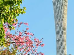 -海心沙亚运公园