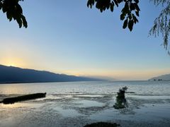 -野菌皇海景野生菌火锅(滨海大道店)