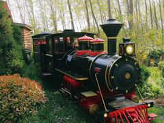 -合肥滨湖国家森林公园