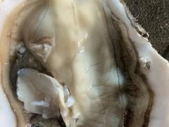 碳烤生蚝-丁字口海鲜热炒·烧烤大排档