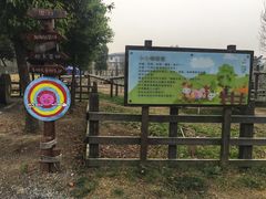 -田园东方蜜桃村的田野营地