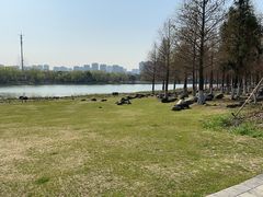 -苏州东太湖生态园