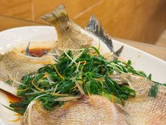 清蒸太阳鱼-大唐靓汤私房菜(红荔西路店)