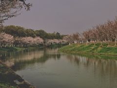 -上海海湾国家森林公园