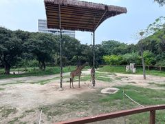 -深圳野生动物园