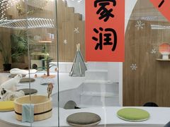 -COLOR PETS 撸猫馆·购猫·猫咖(长风大悦城店)