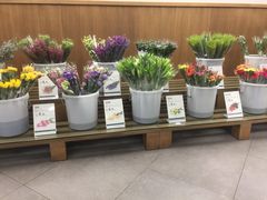 -鹿岛会员店 (龙湖三千集天街店)