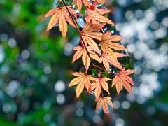 -青岛崂山太清宫