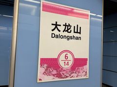 -大龙山(地铁站)