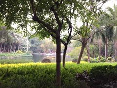 -晓港公园